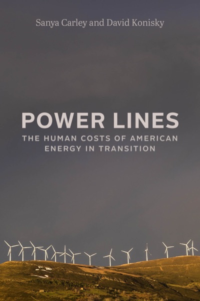Cover of Power Lines by Sanya Carley and David Konisky